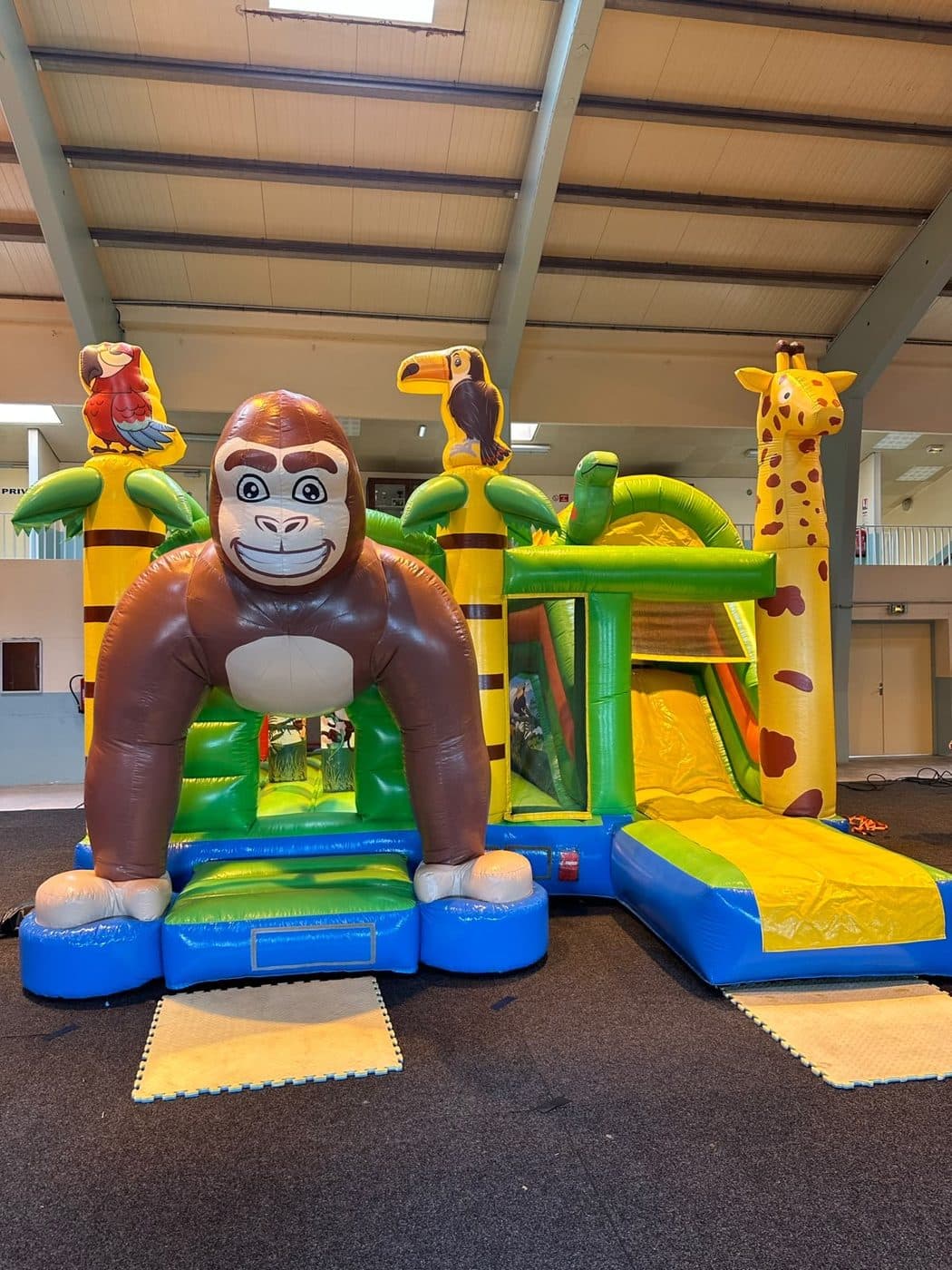 Combo gonflable jungle avec gorille et toboggan.